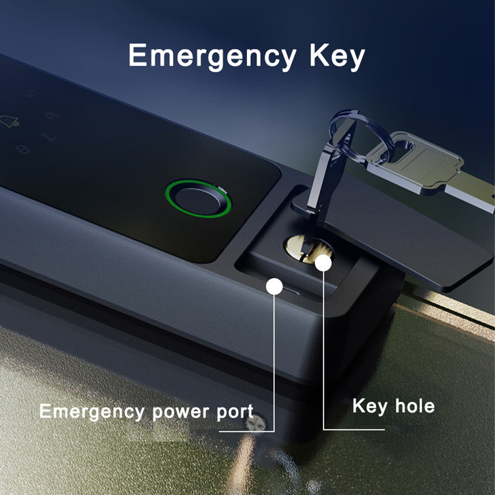 BDI OS766 Smart Glass Door Lock – Fingerprint, PIN Code, IC Card & Tuya APP Access for Frameless Glass Doors