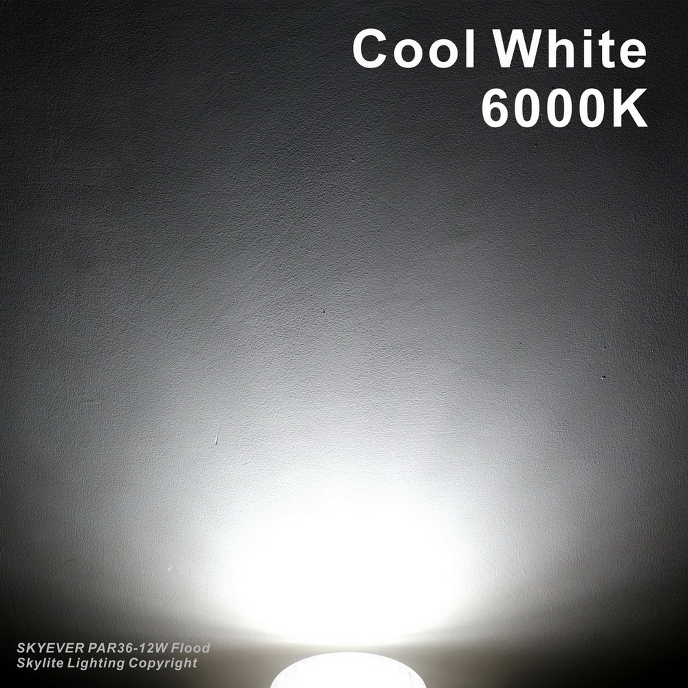 Glass LED PAR36 Light Bulb Flood 9 Watts  AC/DC 12 Volts IP67 Waterproof