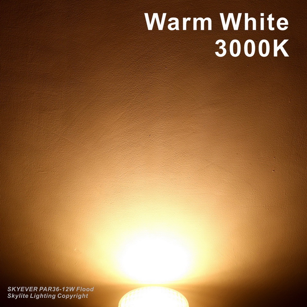 Glass LED PAR36 Light Bulb Flood 9 Watts  AC/DC 12 Volts IP67 Waterproof