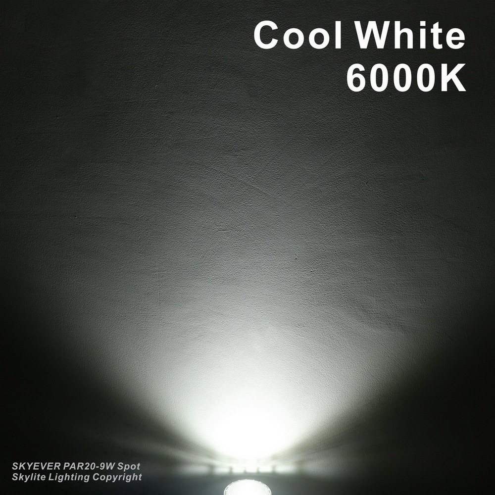 Glass LED PAR20 Spot Lamp Bulb COB 9 Watts  110V/220V E26/E27 IP65 Housing Dimmable