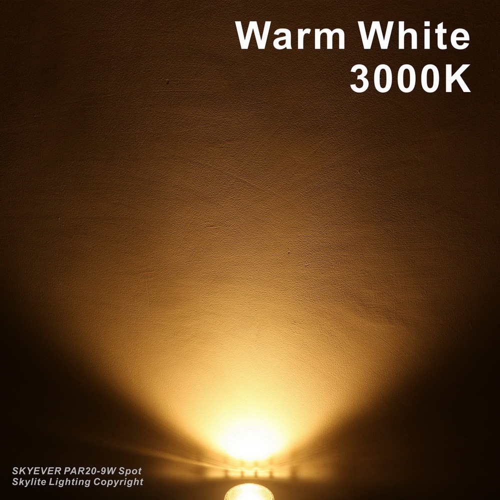 Glass LED PAR20 Spot Lamp Bulb COB 9W  110V/220V E26/E27 IP65 Housing Dimmable