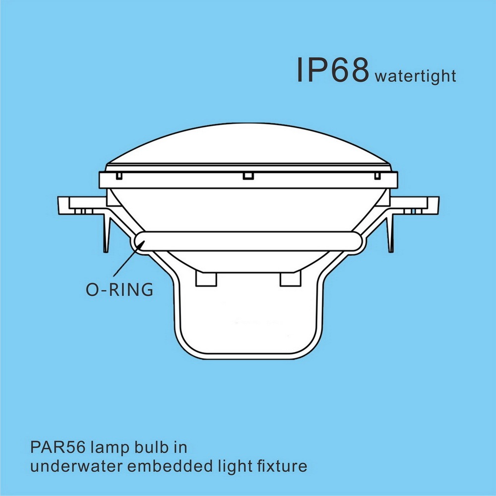 Glass LED PAR56 Underwater Light Bulb Flood 15 Watts AC/DC 12 Volts IP68 Waterproof