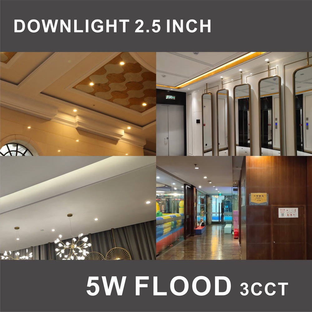 Ultra-Thin Plastic-Al LED Downlight Flood 2.5 INCH 5 Watts AC110V/AC220V Dimmable