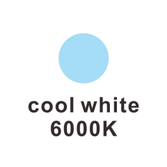 6000K CW
