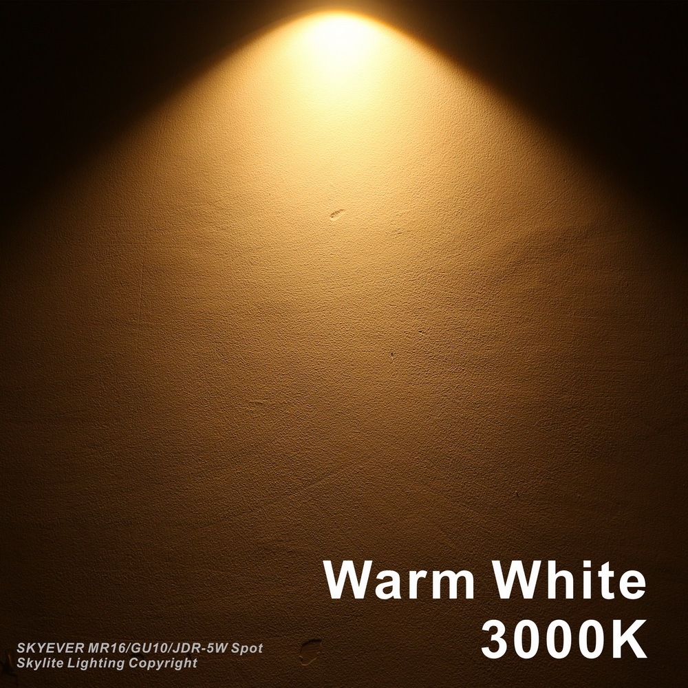 Detachable 2" Iron Spot LED Downlight MR16/GU10 COB 5W (round shape)