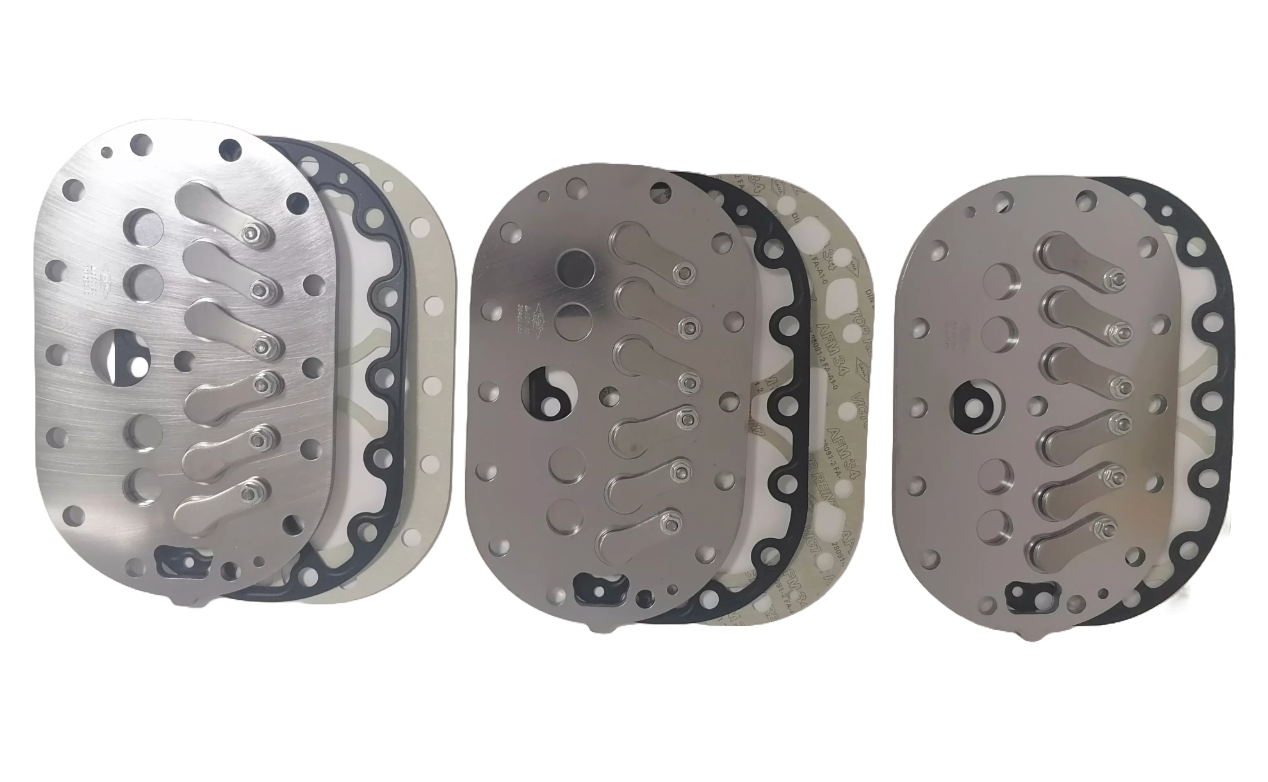30405501 Complete valve plate