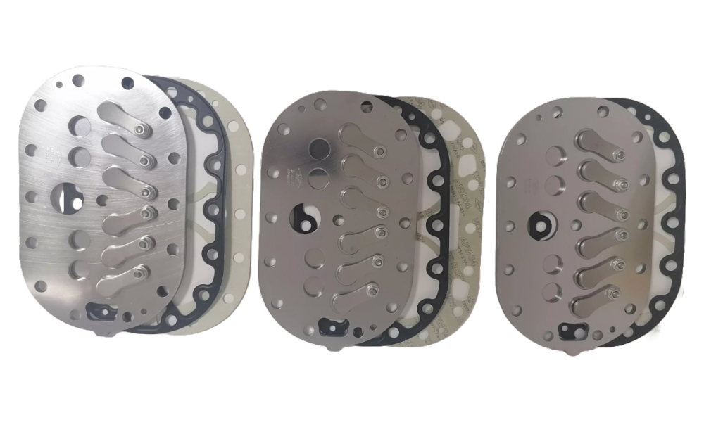 30405501 Complete valve plate