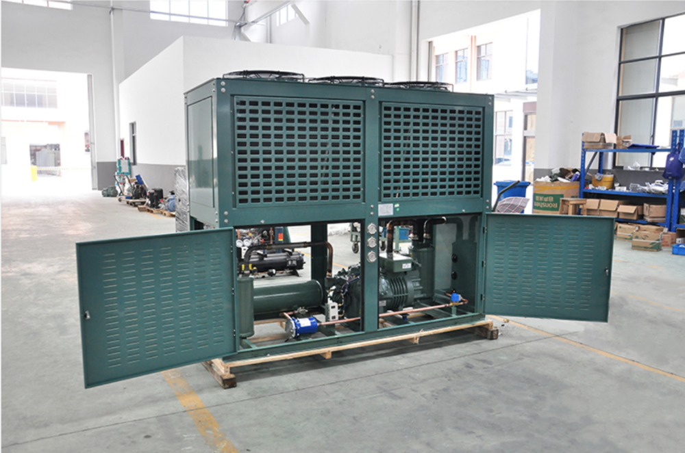 Bitzer 4NES-20 Condensing Unit – 20HP