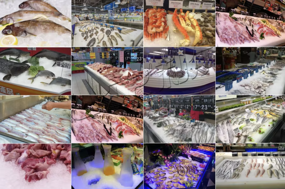 1 Ton Flake Ice Machine | Daily Production: 1,000 kg