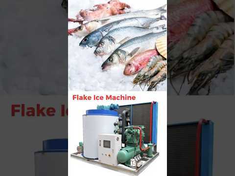 1 Ton Flake Ice Machine | Daily Production: 1,000 kg