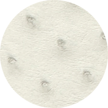 Parchemin