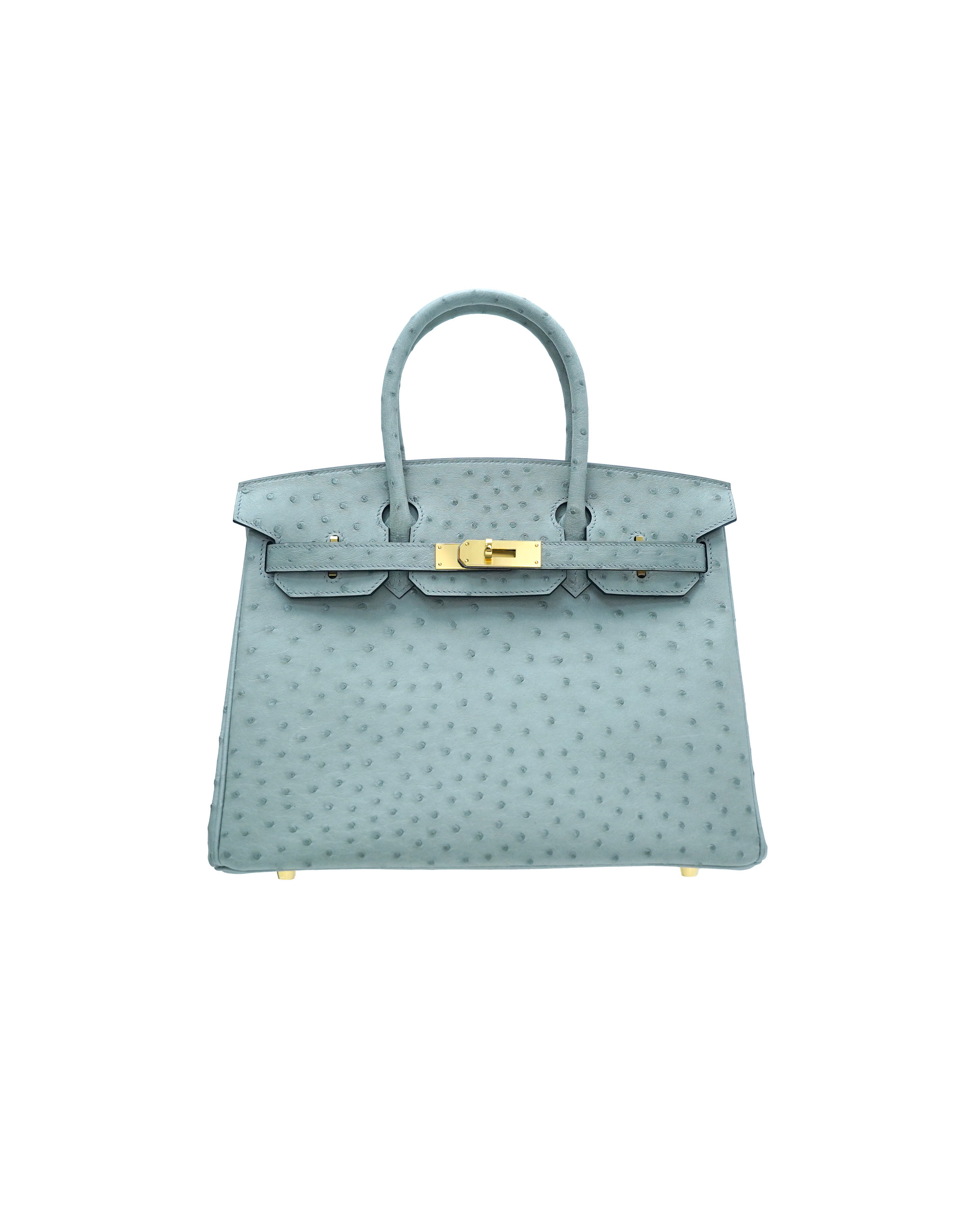 30-sized ladies' handbag made of ostrich leather