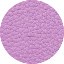Mauve Sylvestre