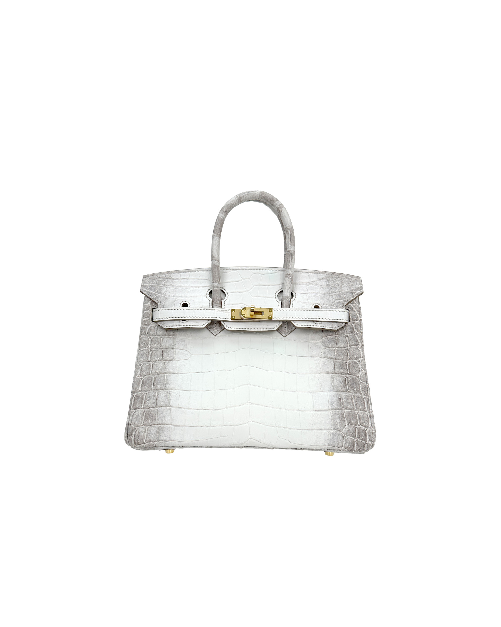 Handmade Himalayan Nile crocodile tote bag, 35cm size