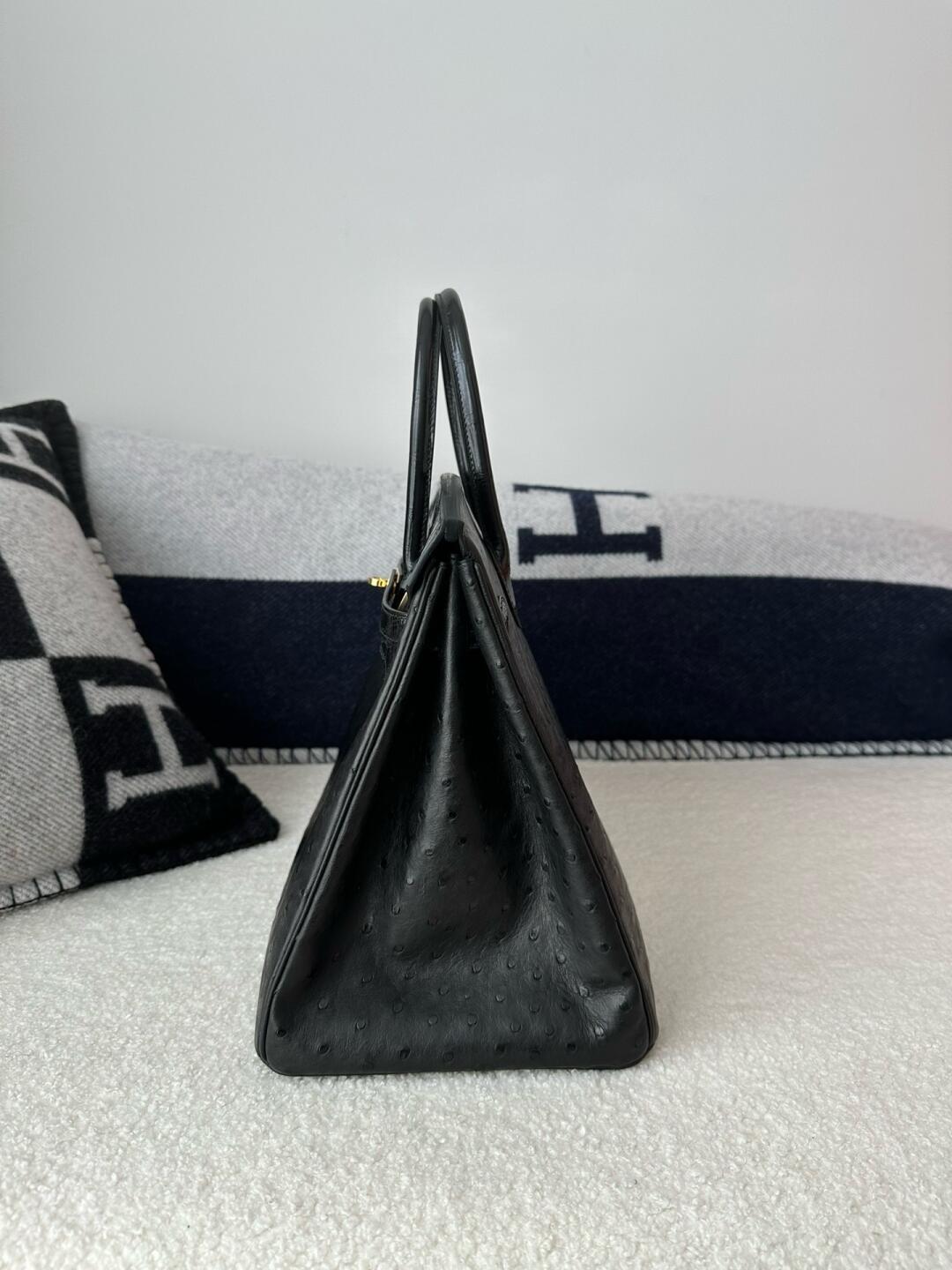 BK25size-black-American crocodile skin