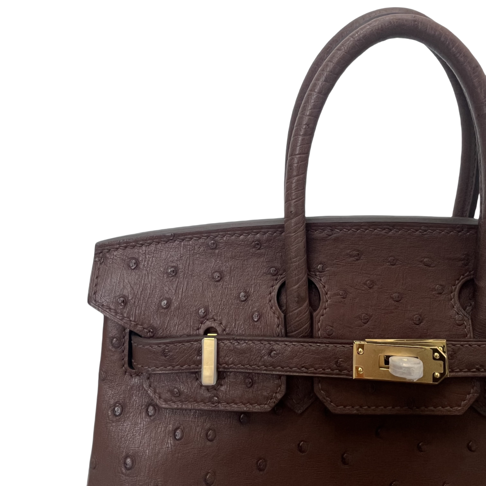 BK- ostrich skin -20 sizi- handbag-100% handmade