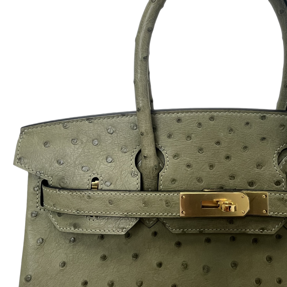 BK- ostrich skin -20 sizi- handbag-100% handmade