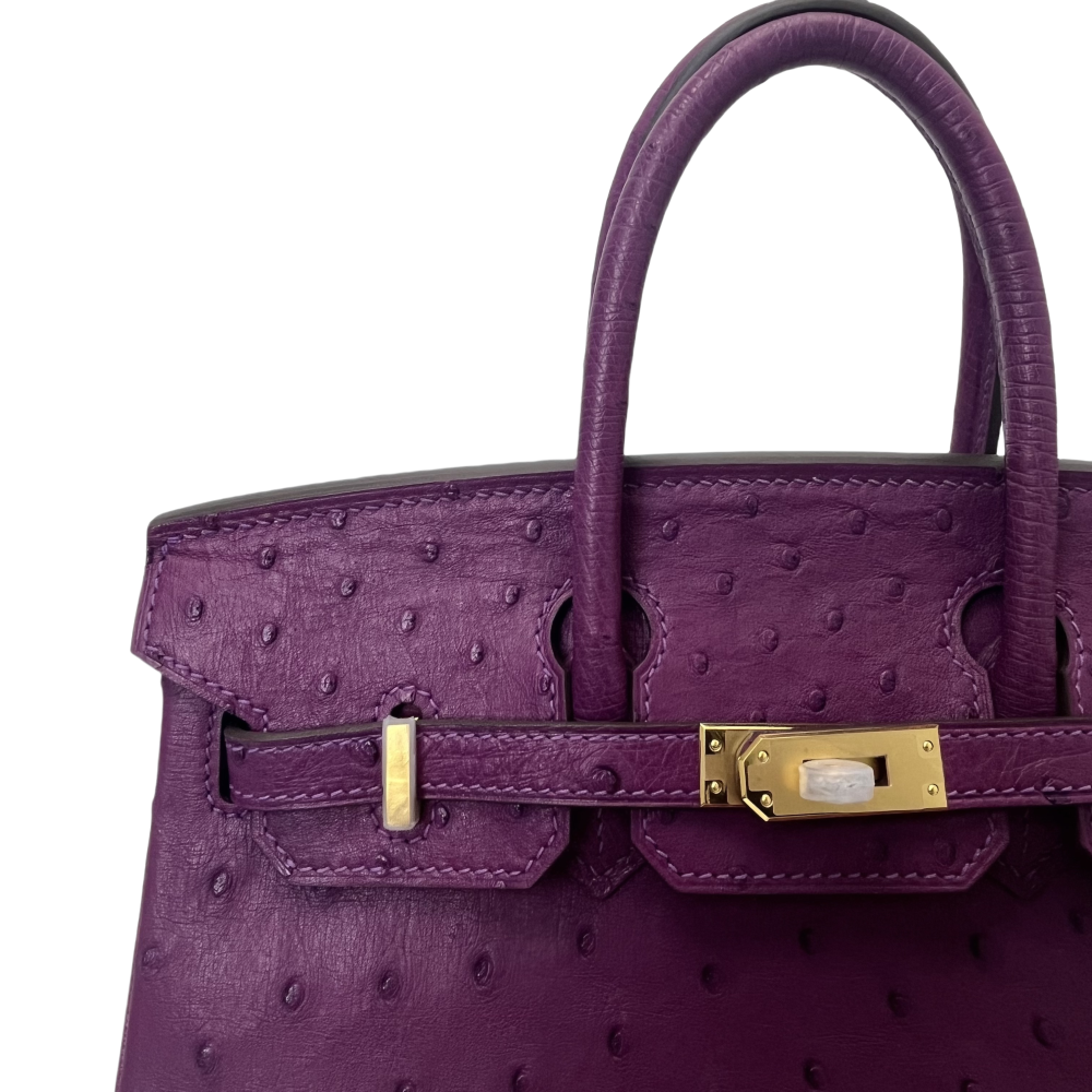 BK- ostrich skin -20 sizi- handbag-100% handmade