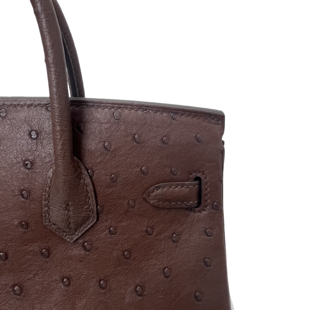 BK- ostrich skin -20 sizi- handbag-100% handmade