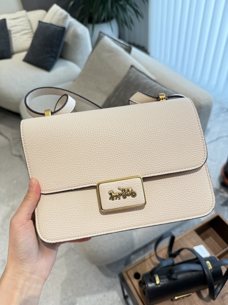 p250
Coach Tofu Bun Horse Pulling Car Classic Logo Button 23cm with Box