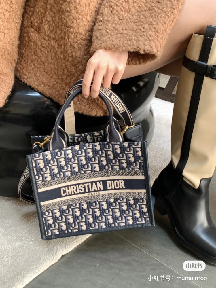 Dior small tote new shoulder strap