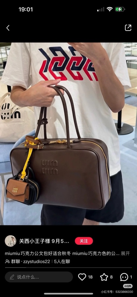Miumiu Classic briefcase must be in, must be in, important things must be said three times!
