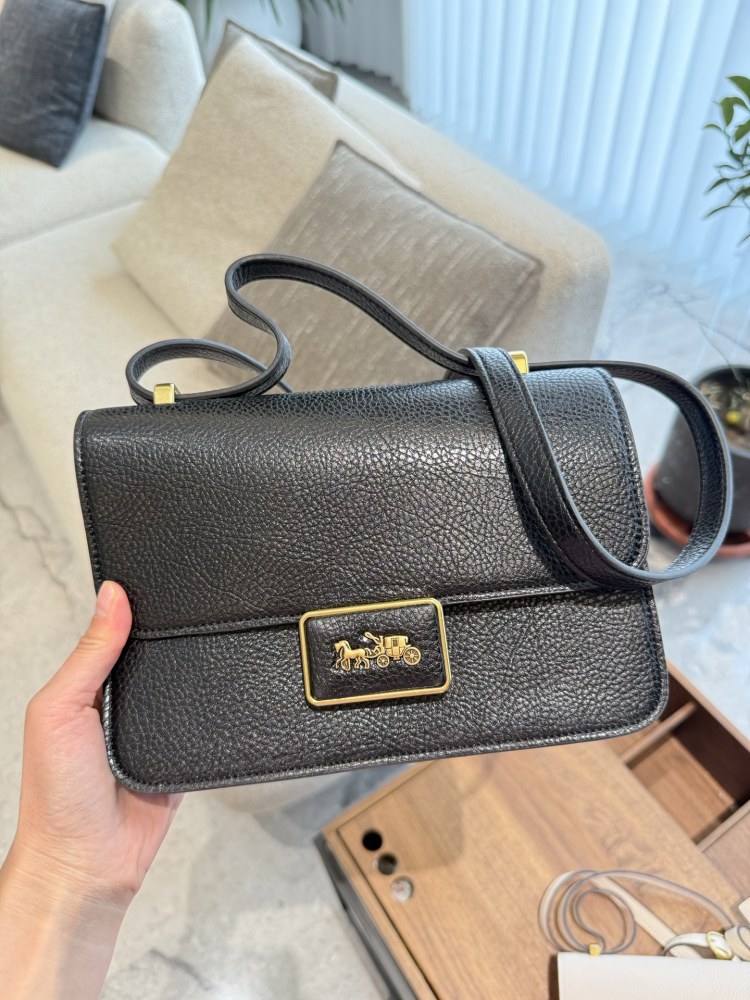 p250
Coach Tofu Bun Horse Pulling Car Classic Logo Button 23cm with Box