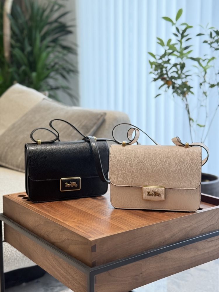 p250
Coach Tofu Bun Horse Pulling Car Classic Logo Button 23cm with Box