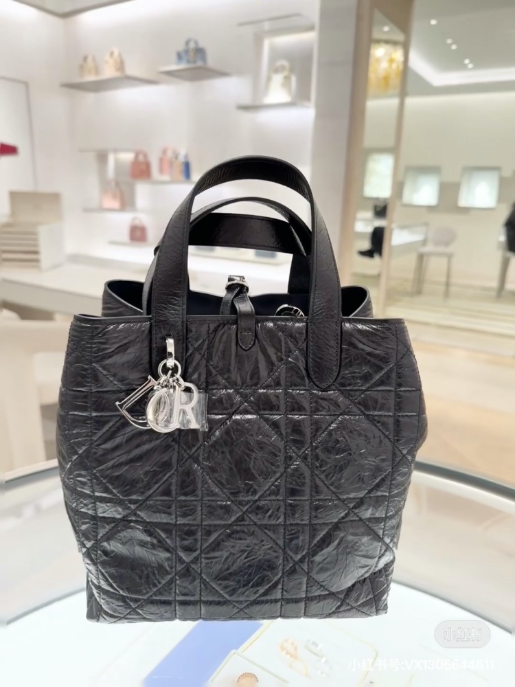 DIOR25 New Indigenous Bag