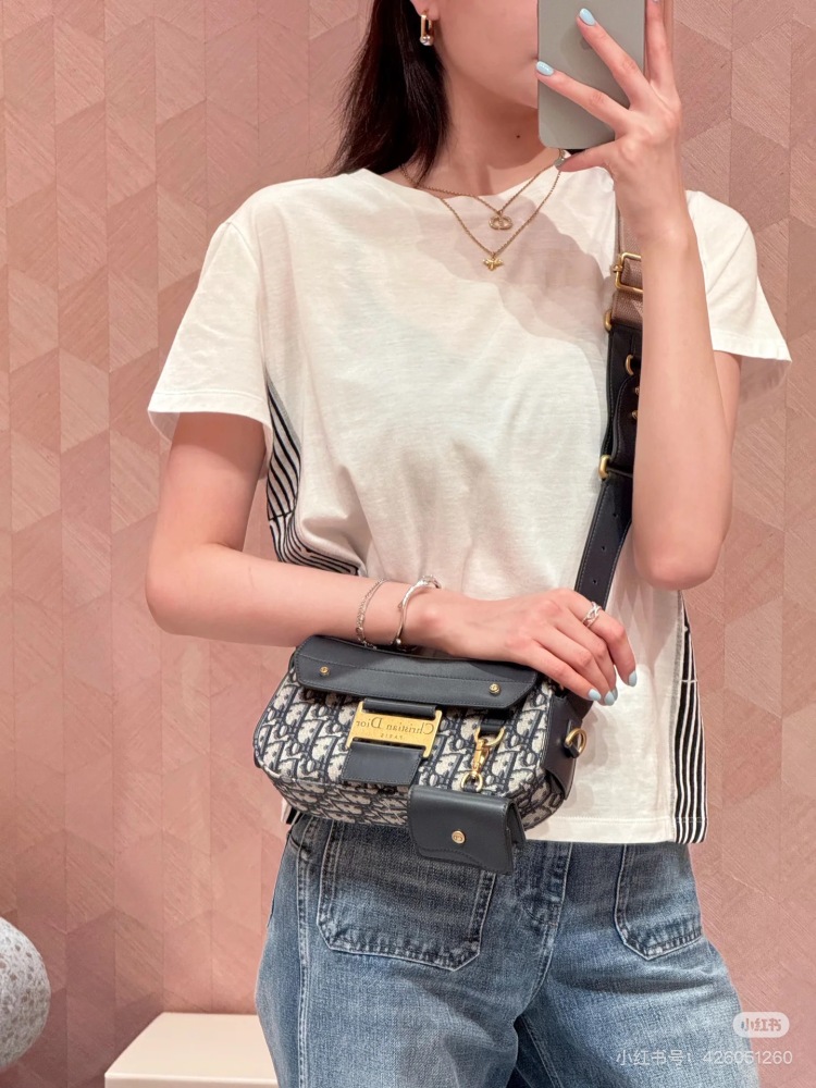 Dior Postman Bag New Edition