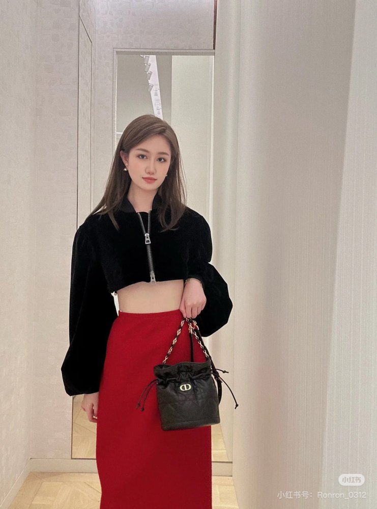 Dior sheepskin small lucky bag