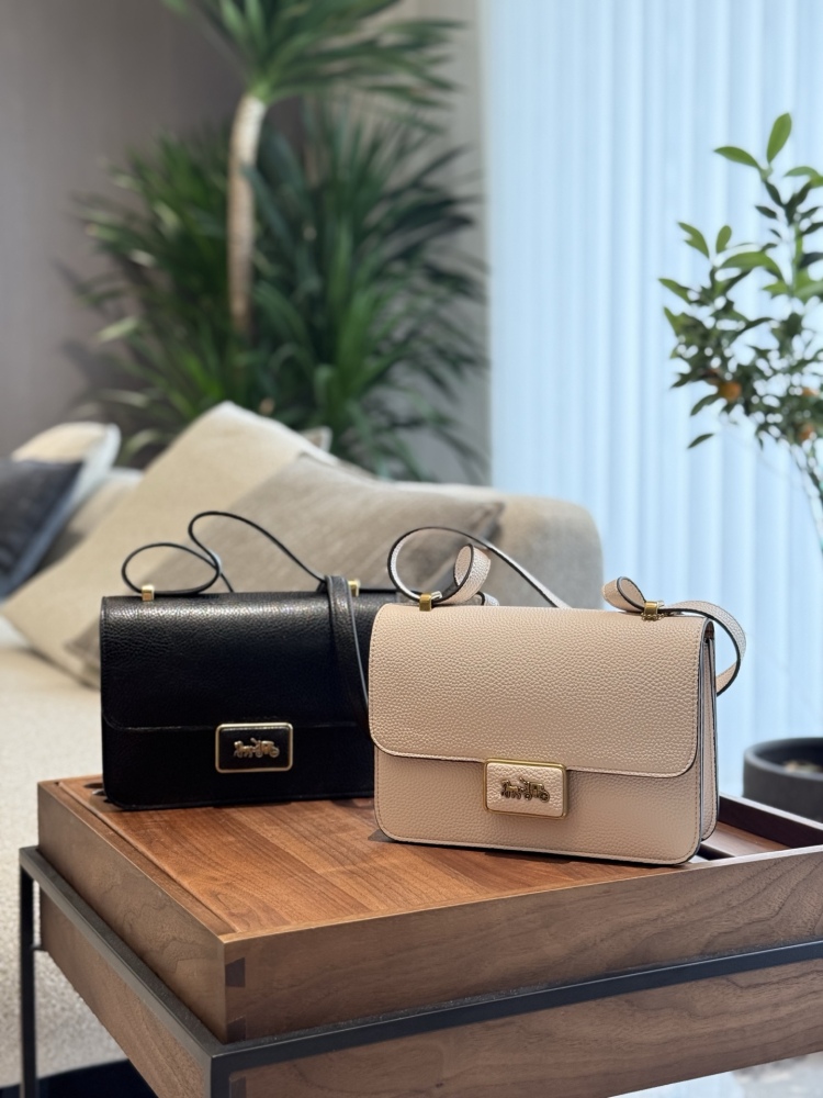 p250
Coach Tofu Bun Horse Pulling Car Classic Logo Button 23cm with Box