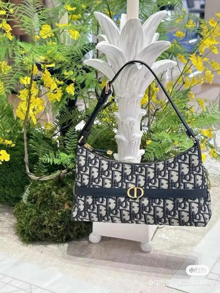Dior's new underarm bag