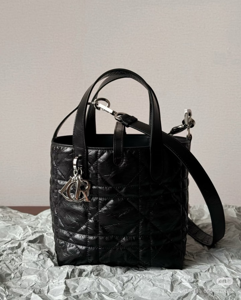 DIOR25 New Indigenous Bag