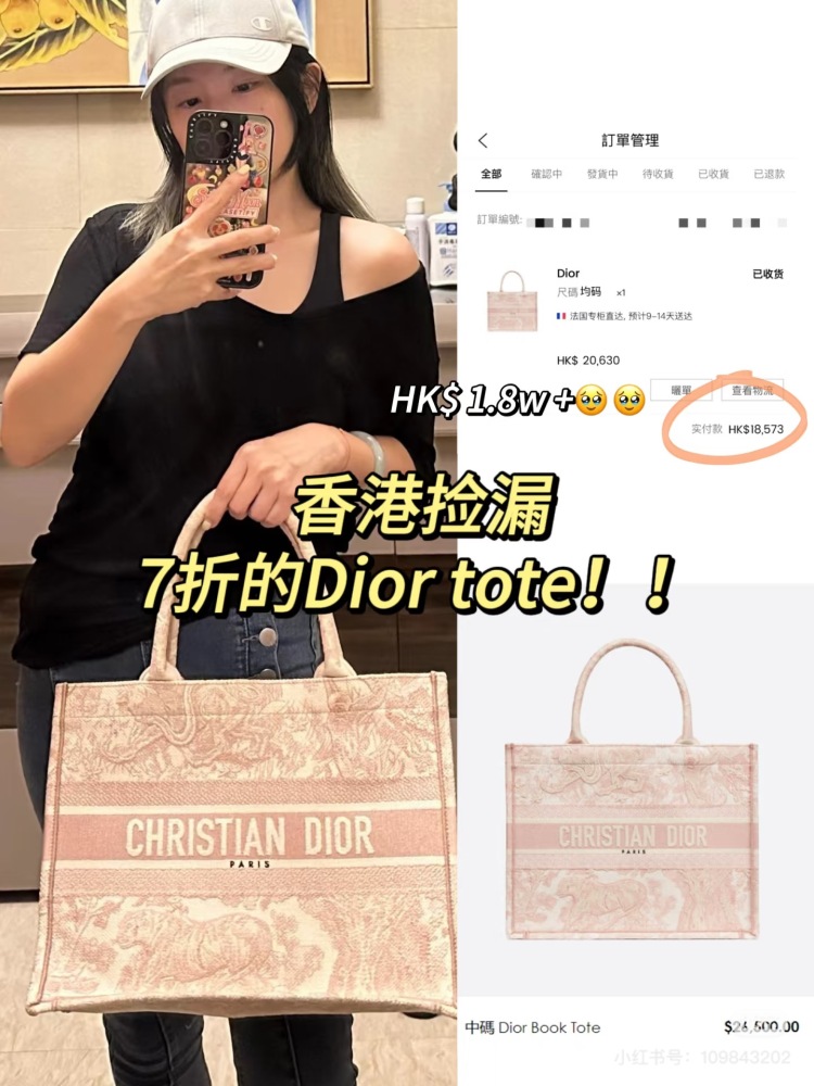 Dior Butterfly Tote