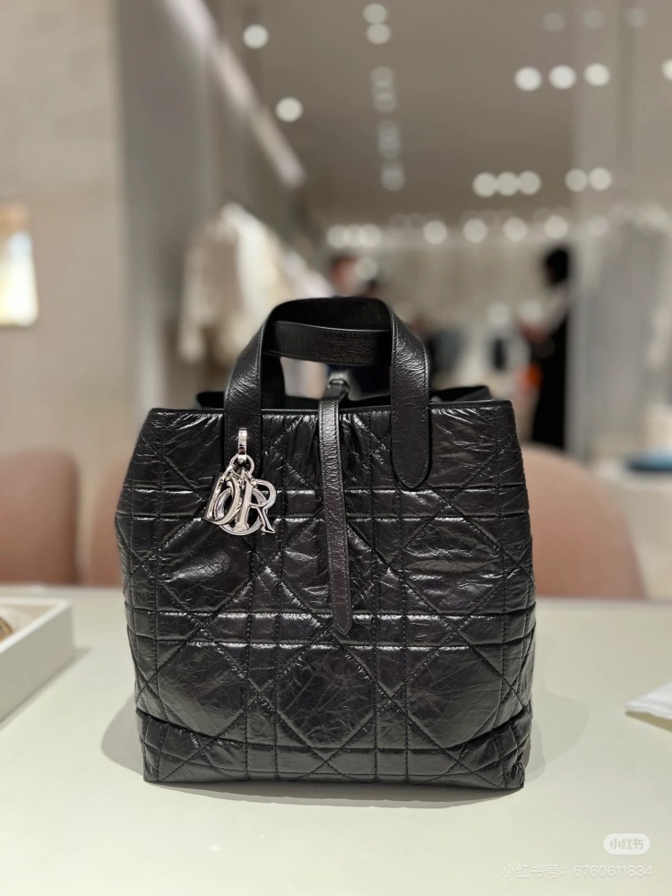 DIOR25 New Indigenous Bag