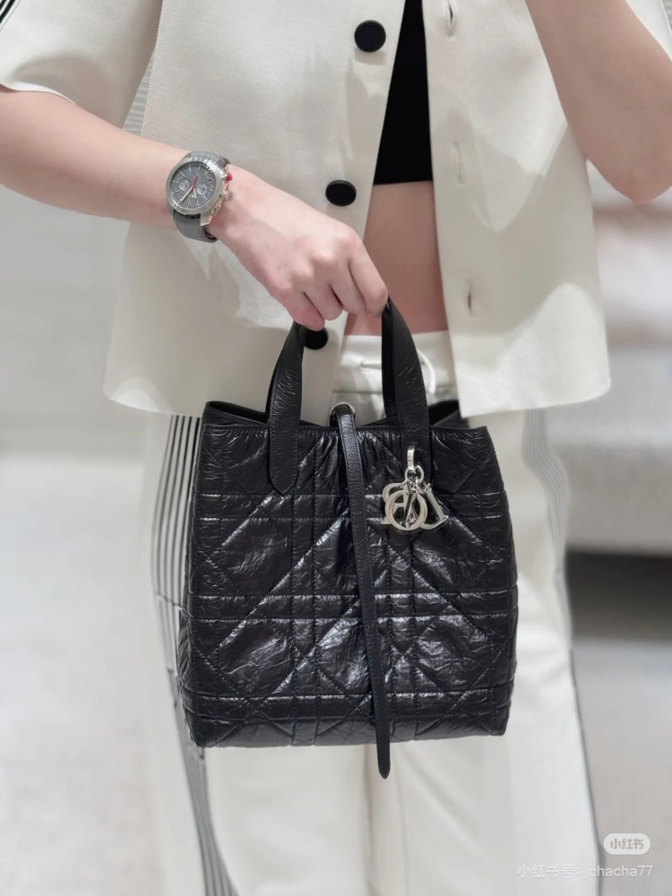 DIOR25 New Indigenous Bag
