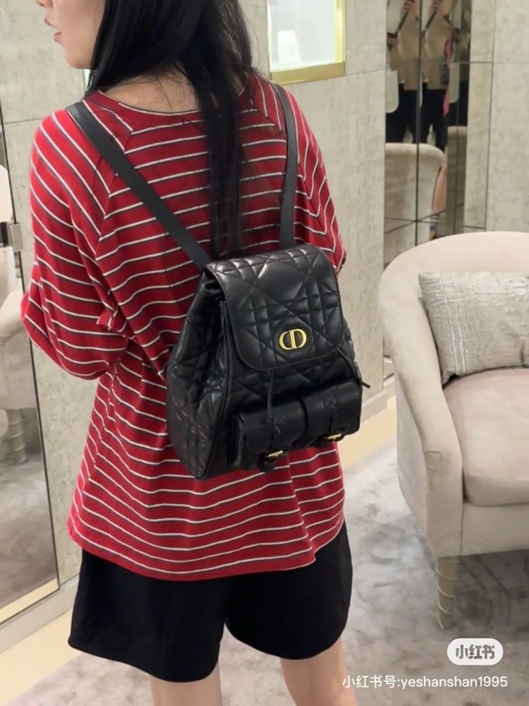 Dior backpack