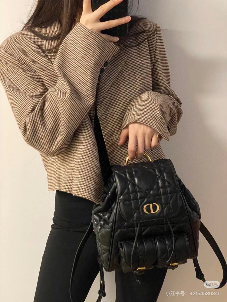 Dior backpack