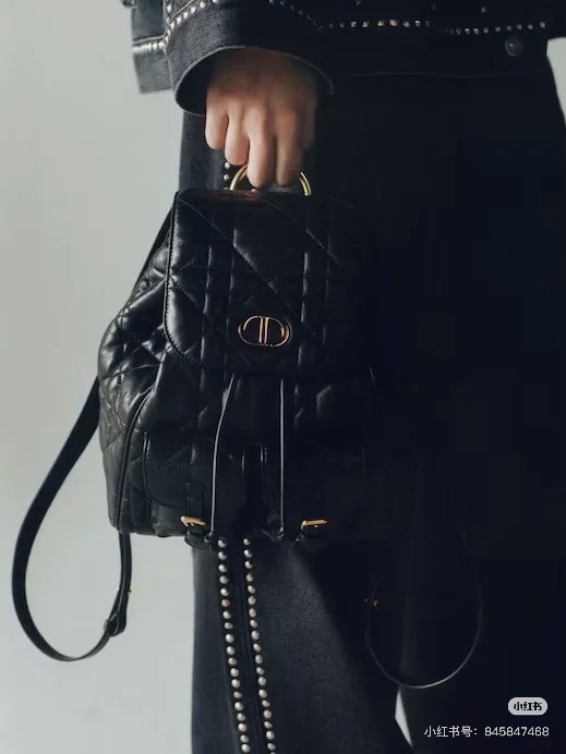 Dior backpack