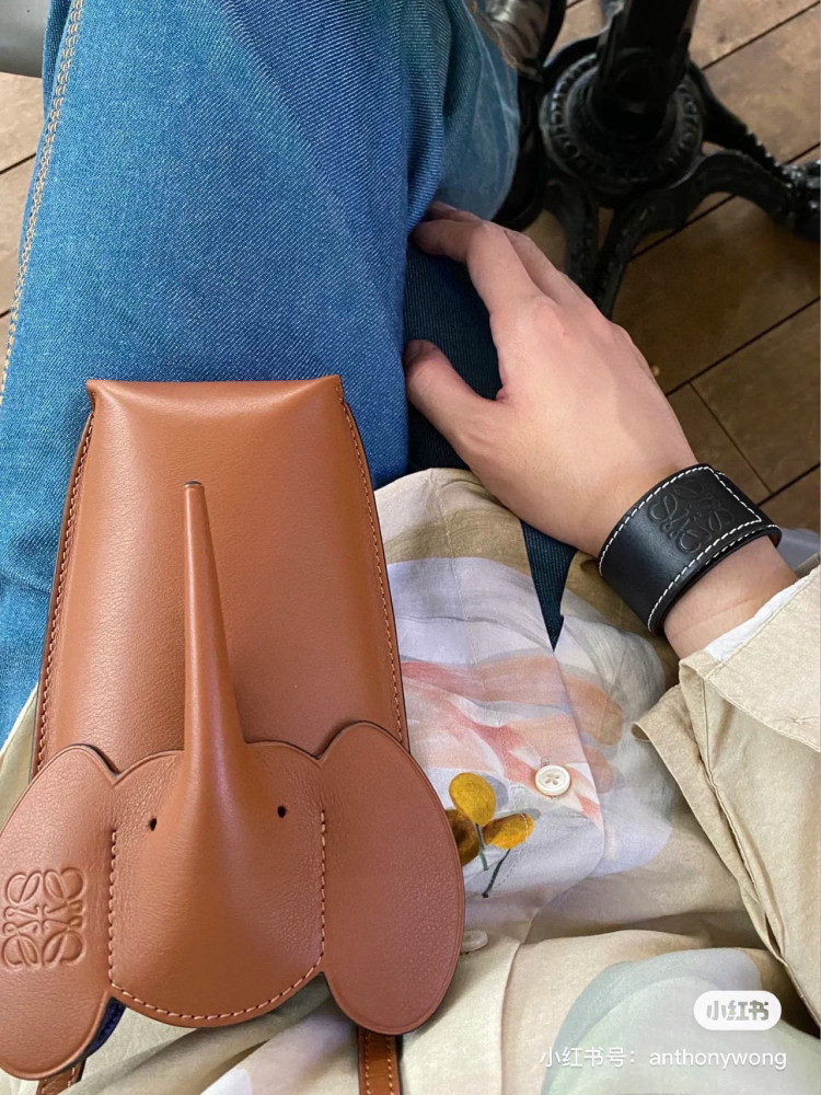 Loewe phone bag