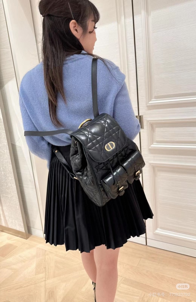 Dior backpack