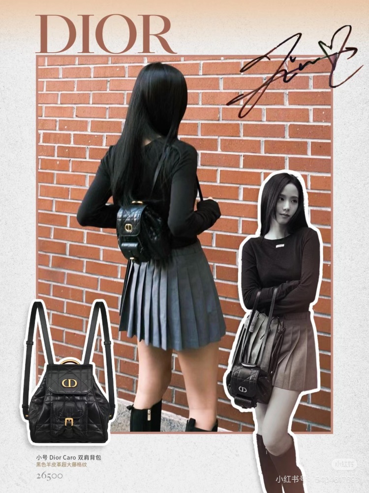 Dior backpack