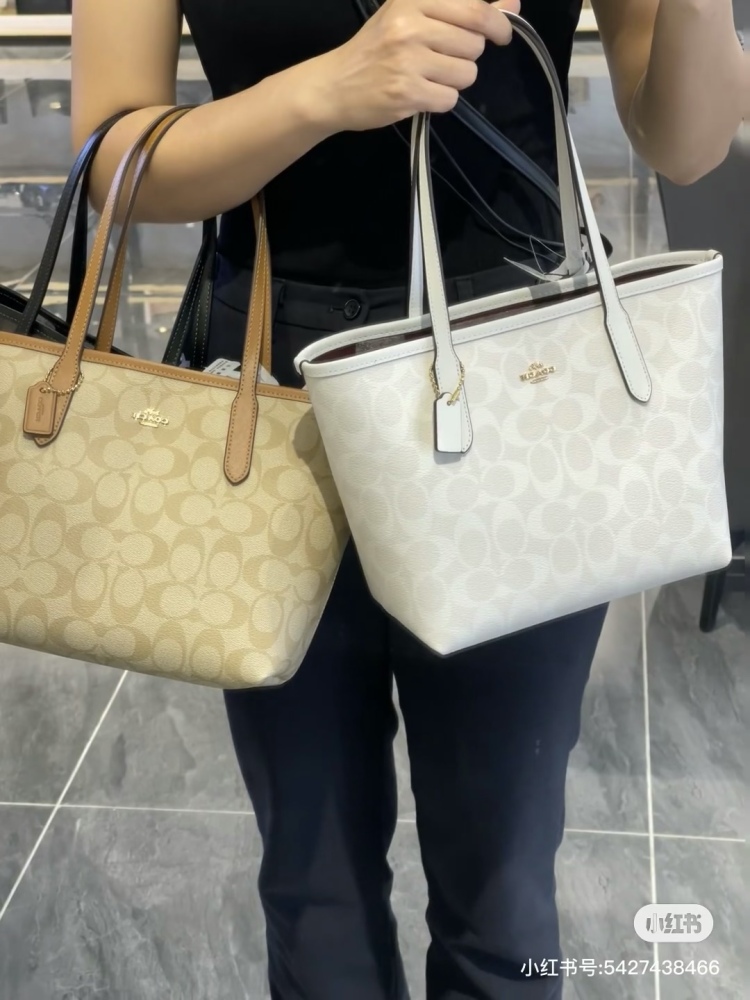 Coach's Small Tote