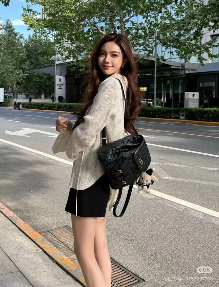 Dior backpack