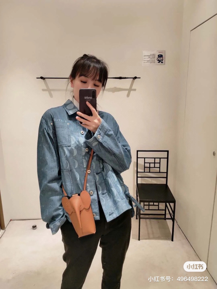 Loewe phone bag