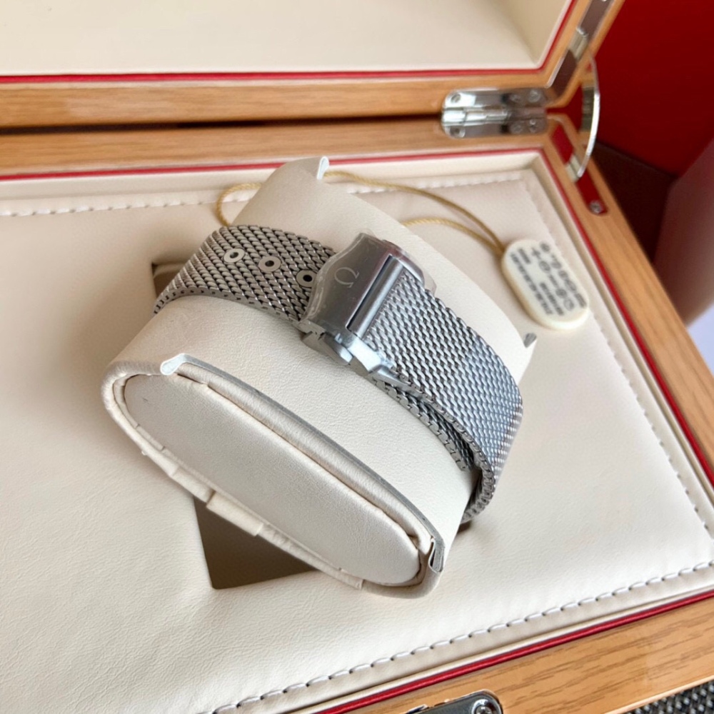 Omega Seamaster 300
