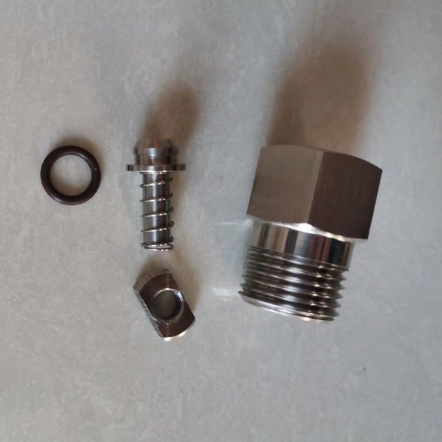 stainless steel check valve