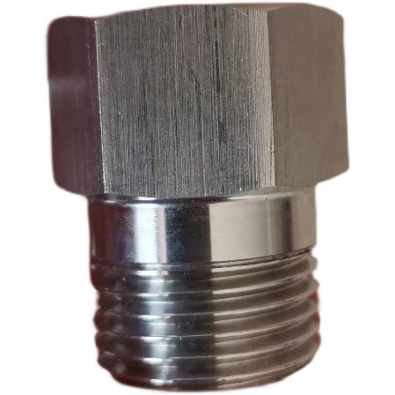 stainless steel check valve