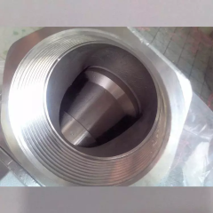 STAINLESS STEEL Y-SPRING CHECK VALVE CF8/CF8M Stainless Steel Y Type Spring Check Valve Thread End Y Type Spring Check Valve stainless steel 304 316 Y-strainer